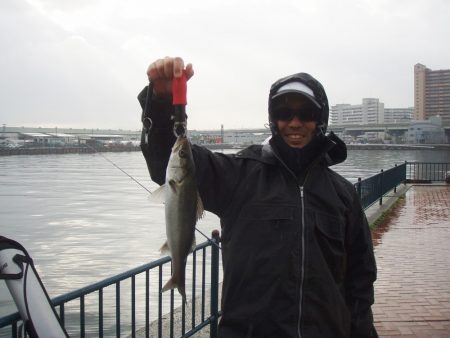 エビ撒き釣りでハネＧＥＴ！！