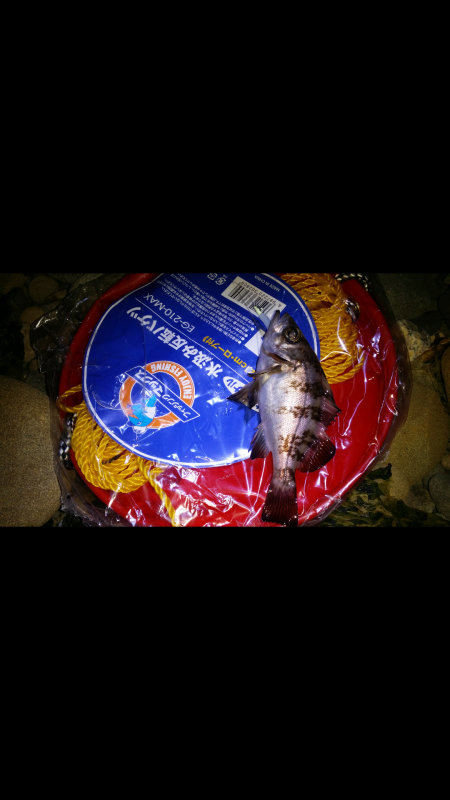 泉南エリアメバリング