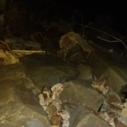 泉南エリアメバリング