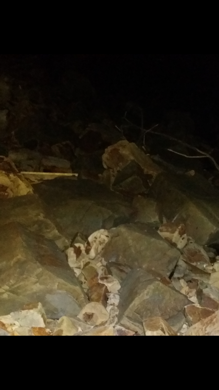 泉南エリアメバリング