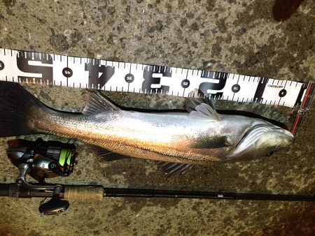 寒い…オマケに雨まで…