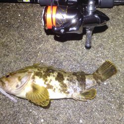 釣れなくても楽しいメバリング