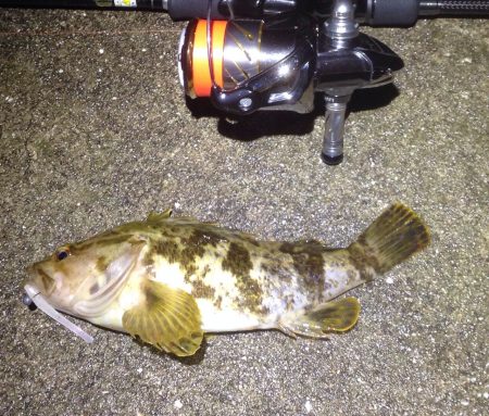 釣れなくても楽しいメバリング