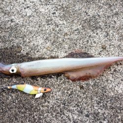 まだ冬なのか？！