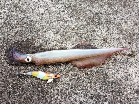 まだ冬なのか？！