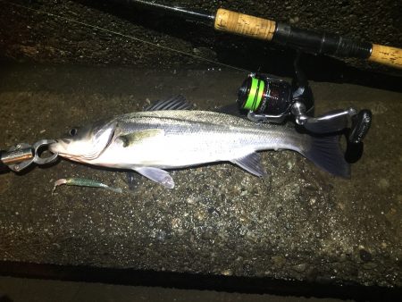 降りしきる雨の中…。