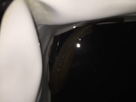 気をつけましょう(-_-)