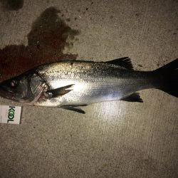 夜勤明けのfight！！