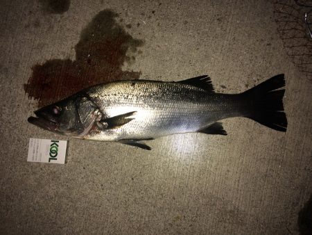 夜勤明けのfight！！