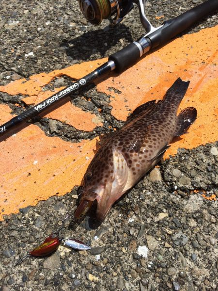 久しぶりの晴天