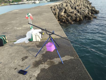 強風が吹き荒れる中…