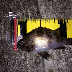 ご近所メバリング