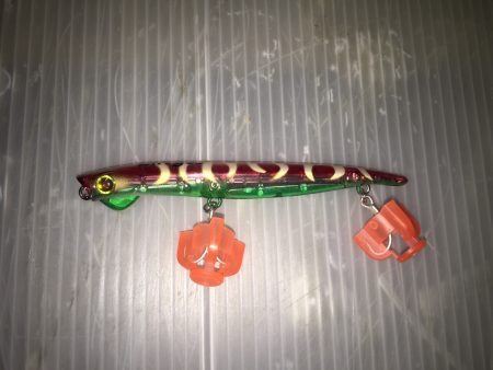 今年初のシーバス対面