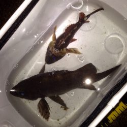 粘って粘って自己新！