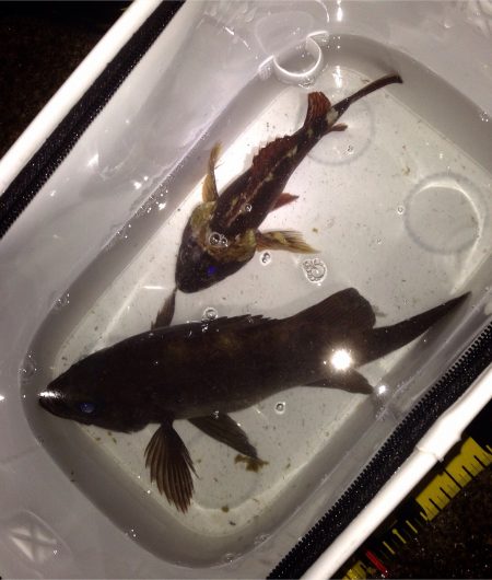 粘って粘って自己新！