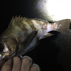 ストラクチャー