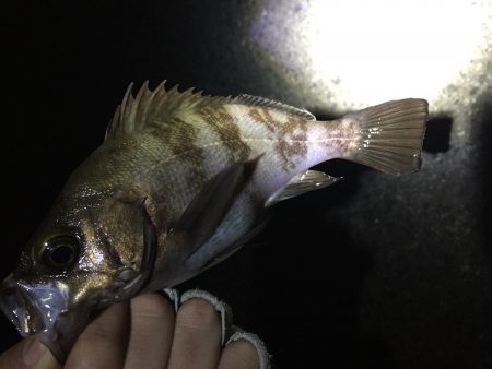 ストラクチャー