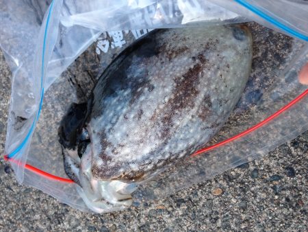 春が近づいてます