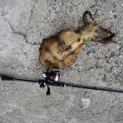 雨上がるも強風の中で価値ある一杯♪