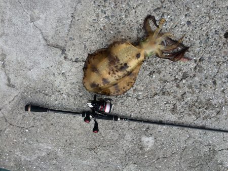 雨上がるも強風の中で価値ある一杯♪
