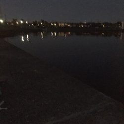 メバリングでソゲ