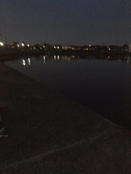 メバリングでソゲ