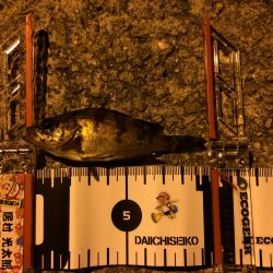 激渋の中頑張ってパターンを見つけました