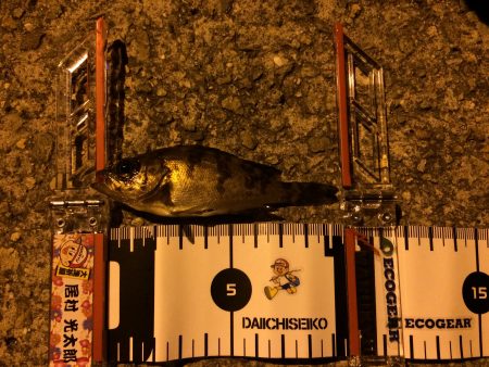 激渋の中頑張ってパターンを見つけました