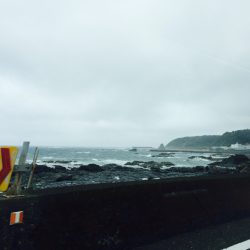 またまた春イカ求めて。