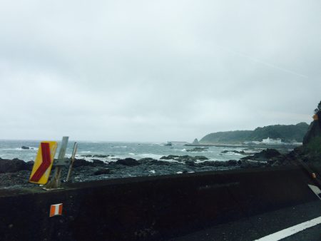 またまた春イカ求めて。