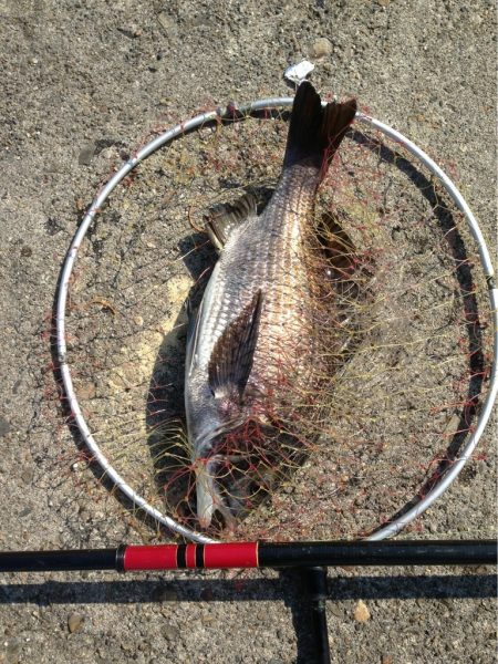 久々フカセ釣り