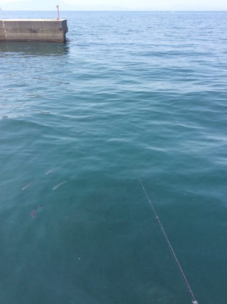 水温上がりました。