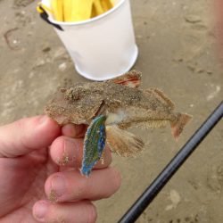 キス釣りランガン