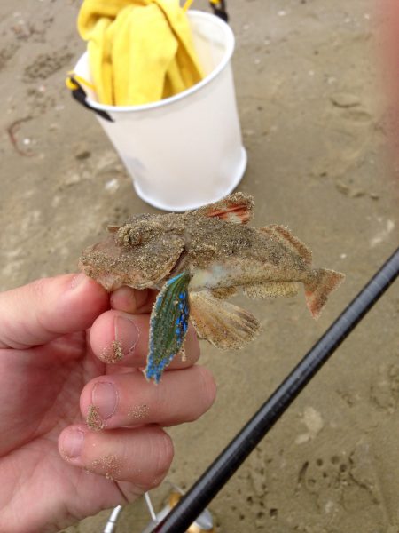 キス釣りランガン