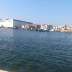 情報操作!? 踊らされた人々・・・