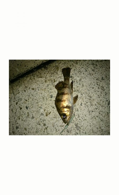 岩屋へプチ遠征！