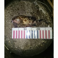 ナイスバディです。