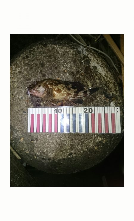 ナイスバディです。