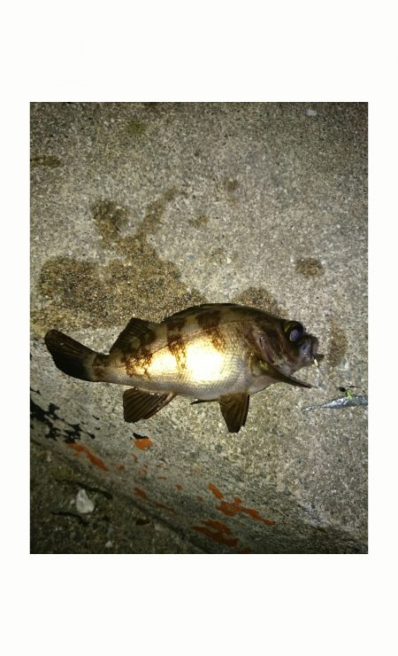 アシスト着用！