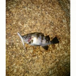 なが〜い沈黙。