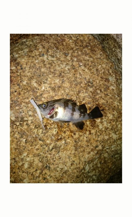 なが〜い沈黙。