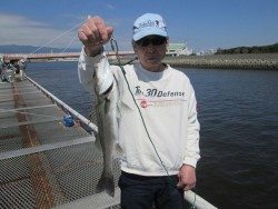尼崎市立魚つり公園　ハネ・セイゴの釣果