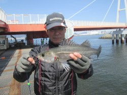 尼崎市立魚つり公園 エビ撒きズボ釣りでセイ…