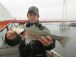 尼崎市立魚つり公園 ハネ・セイゴの活性上がってます