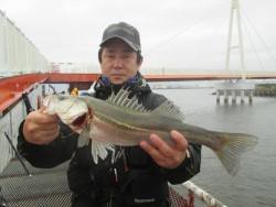 尼崎市立魚つり公園 ハネ・セイゴの活性上が…