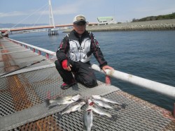 尼崎市立魚つり公園のチヌ・ハネ　ウキ・ズボ…