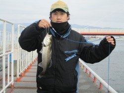 尼崎市立魚つり公園のチヌ・ハネ　ウキ・ズボどちらも上向き調子