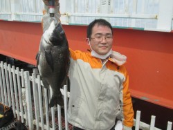 尼崎釣り公園　チヌの釣果が出てます