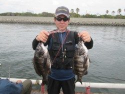 尼崎釣り公園　チヌの釣果が出てます