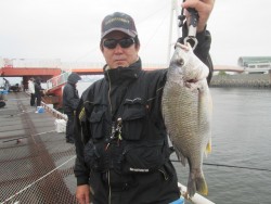 尼崎市魚つり公園　エビ撒きでハネ・セイゴ・…